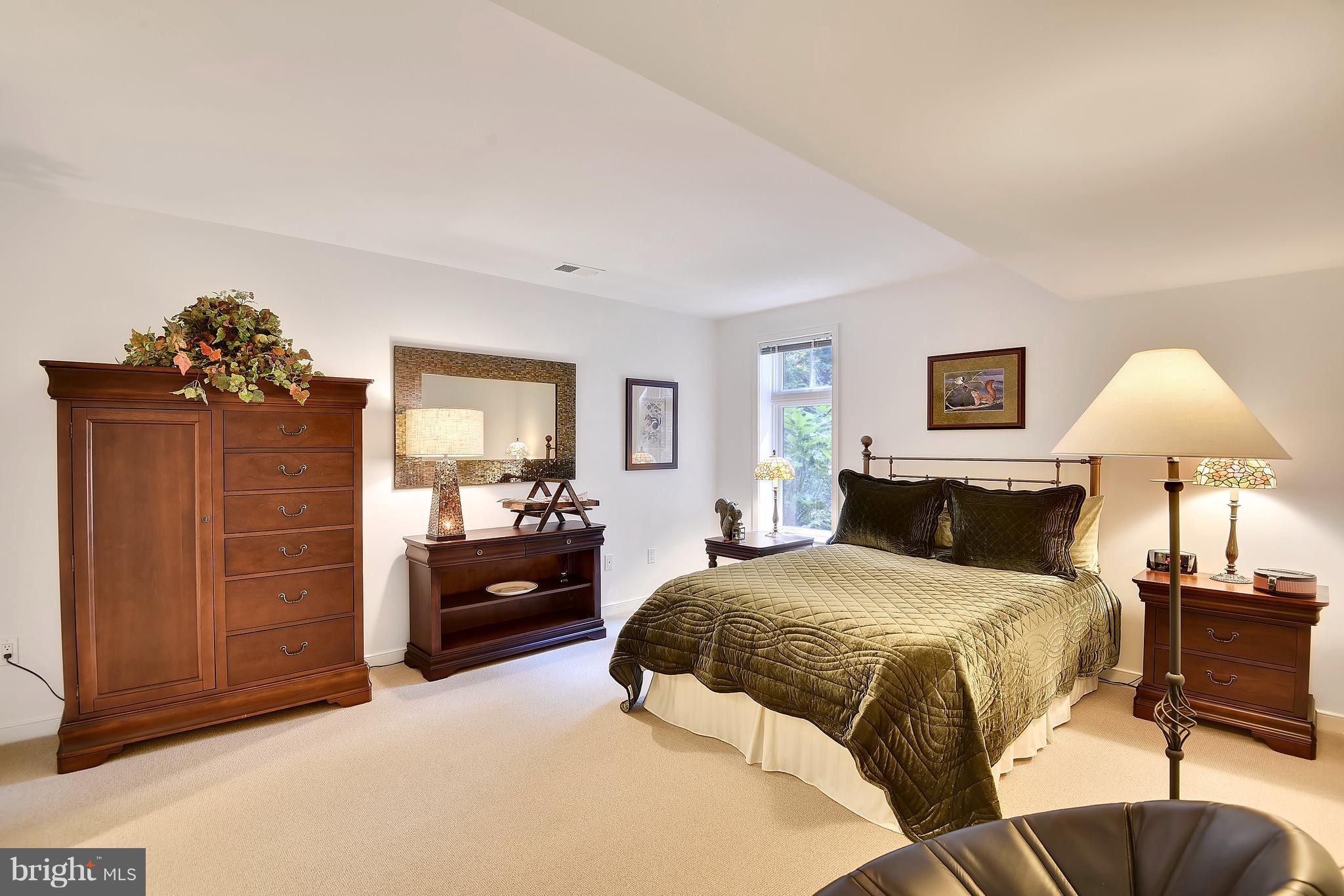1486 Waterfront Road Reston, VA 20194 - Photo 28 of 30 Lower Level Bedroom #5 w/ensuite access to Bath
