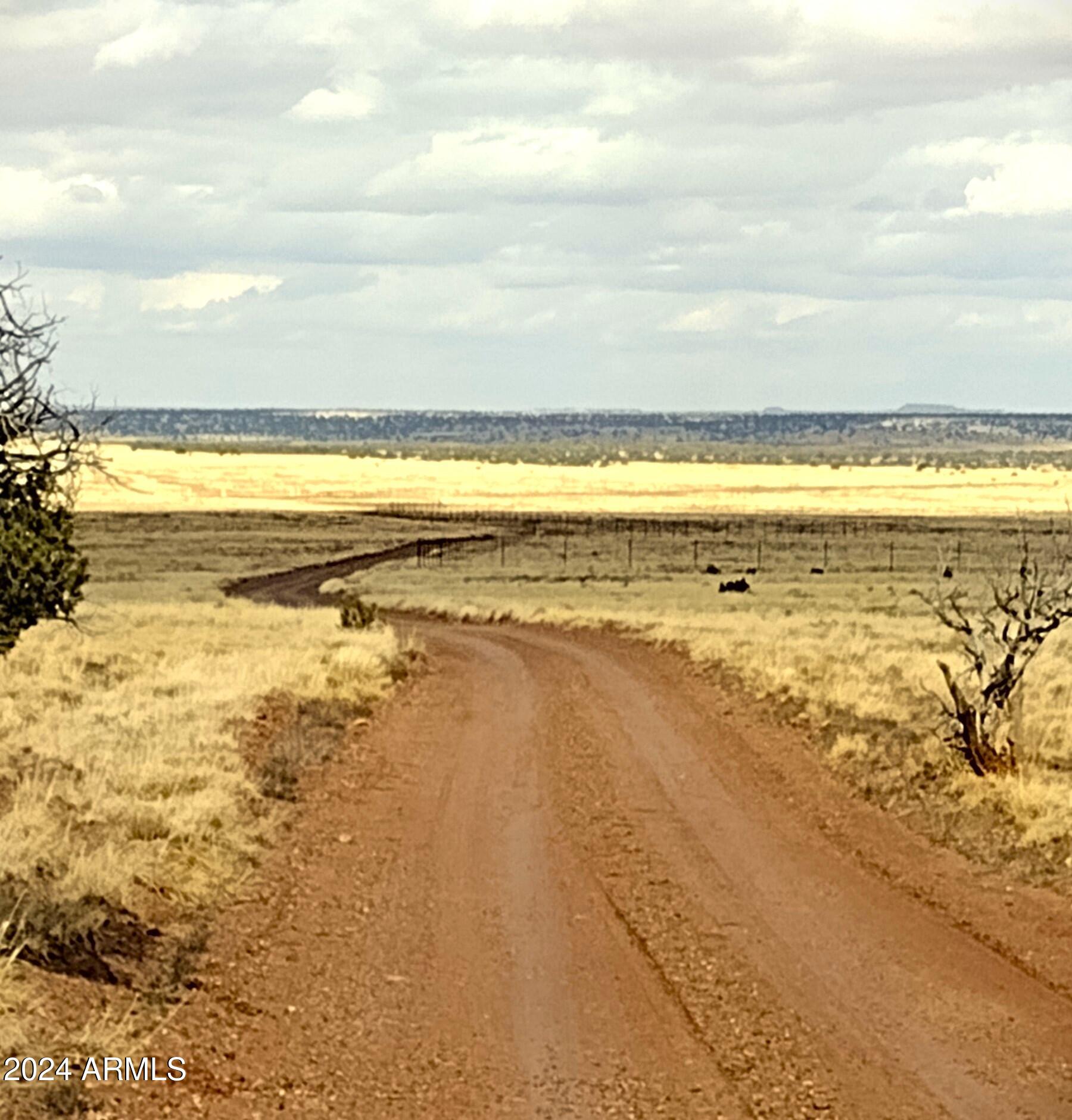 Lot 88 Ranch Of The White Mountains, Unit 88 Concho, AZ 85924 - Photo 1 of 14 Lot.88.4
