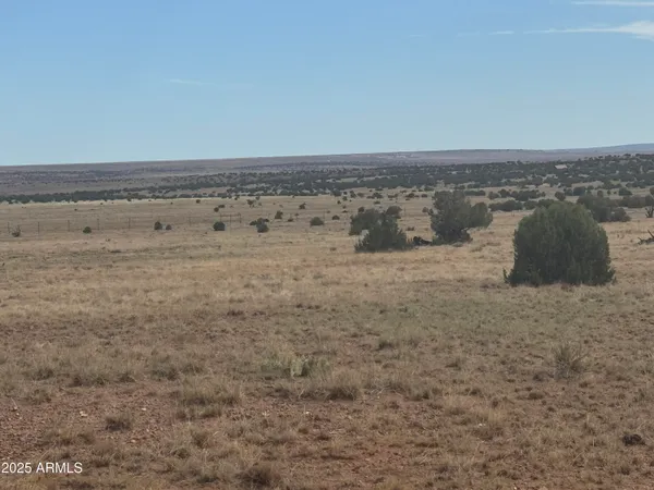 $25,000 | Lot 88 Ranch Of The White Mountains, Unit 88, Concho, AZ 85924