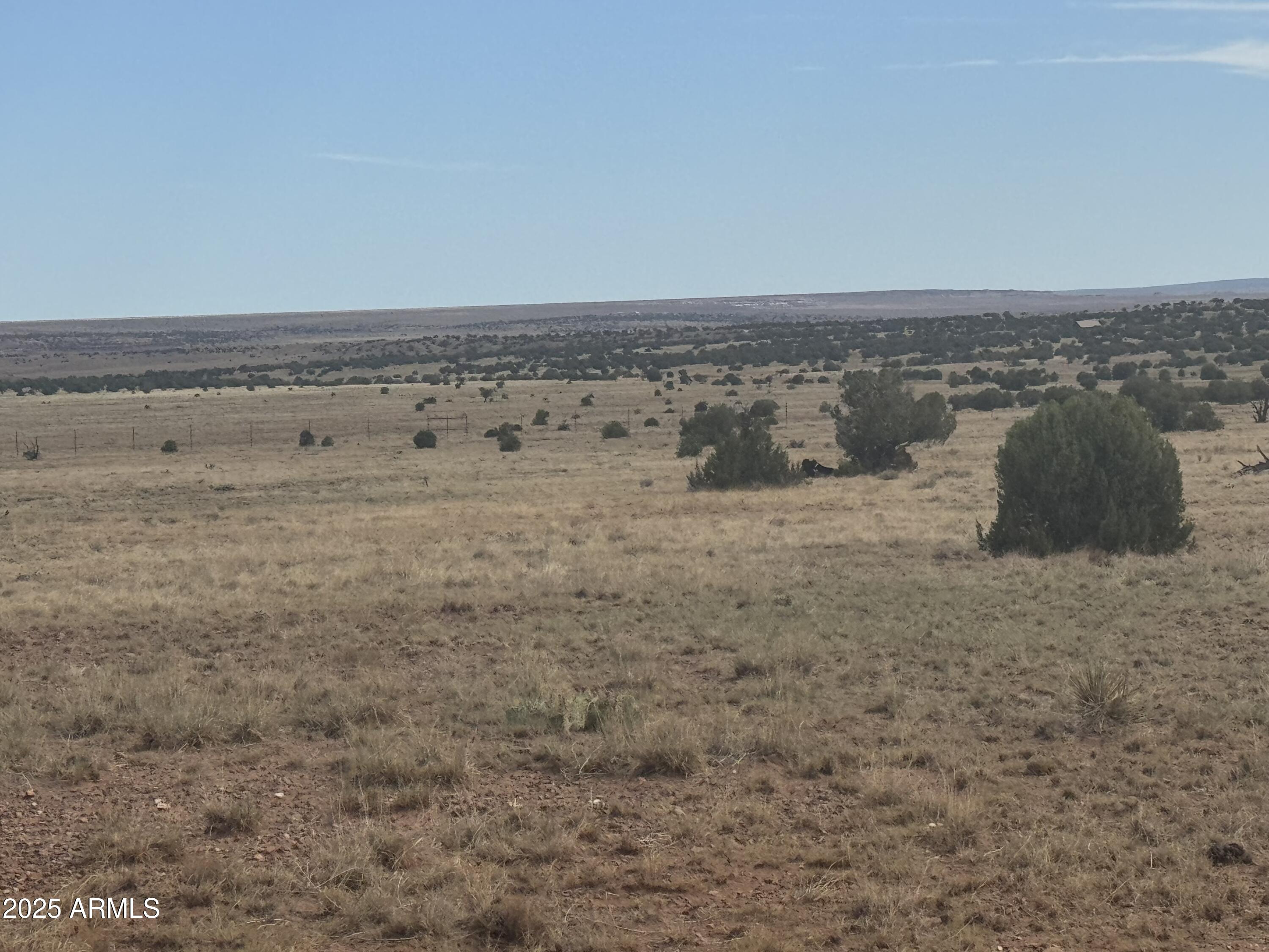 Lot 88 Ranch Of The White Mountains, Unit 88 Concho, AZ 85924 - Photo 11 of 14 IMG_8736
