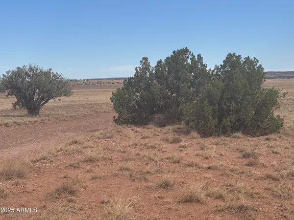 $25,000 | Lot 88 Ranch Of The White Mountains, Unit 88, Concho, AZ 85924