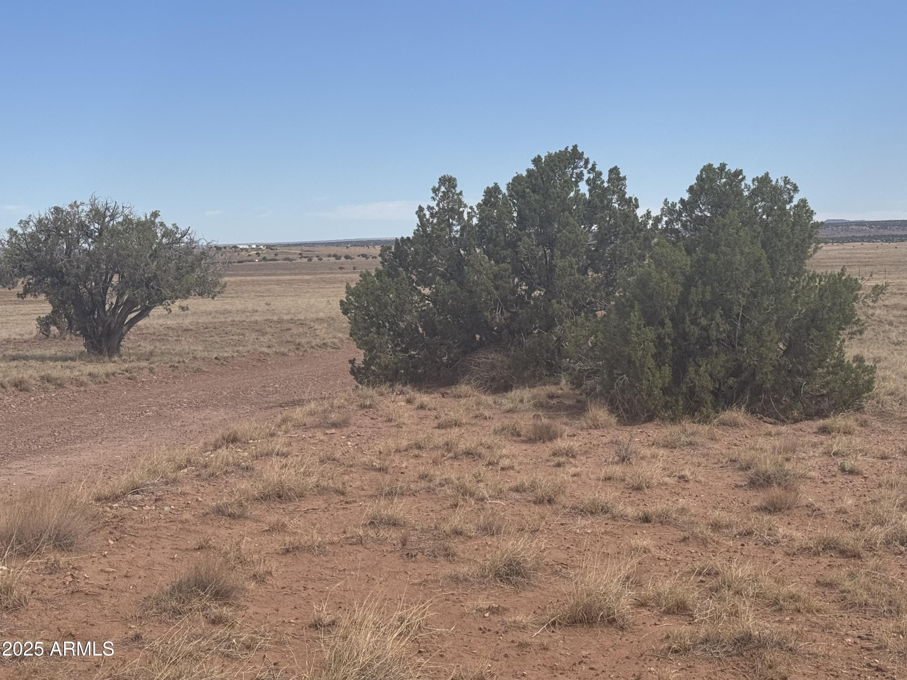 Lot 88 Ranch Of The White Mountains, Unit 88 Concho, AZ 85924 - Photo 12 of 14 IMG_8737