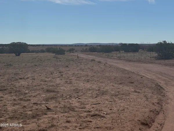 $25,000 | Lot 88 Ranch Of The White Mountains, Unit 88, Concho, AZ 85924