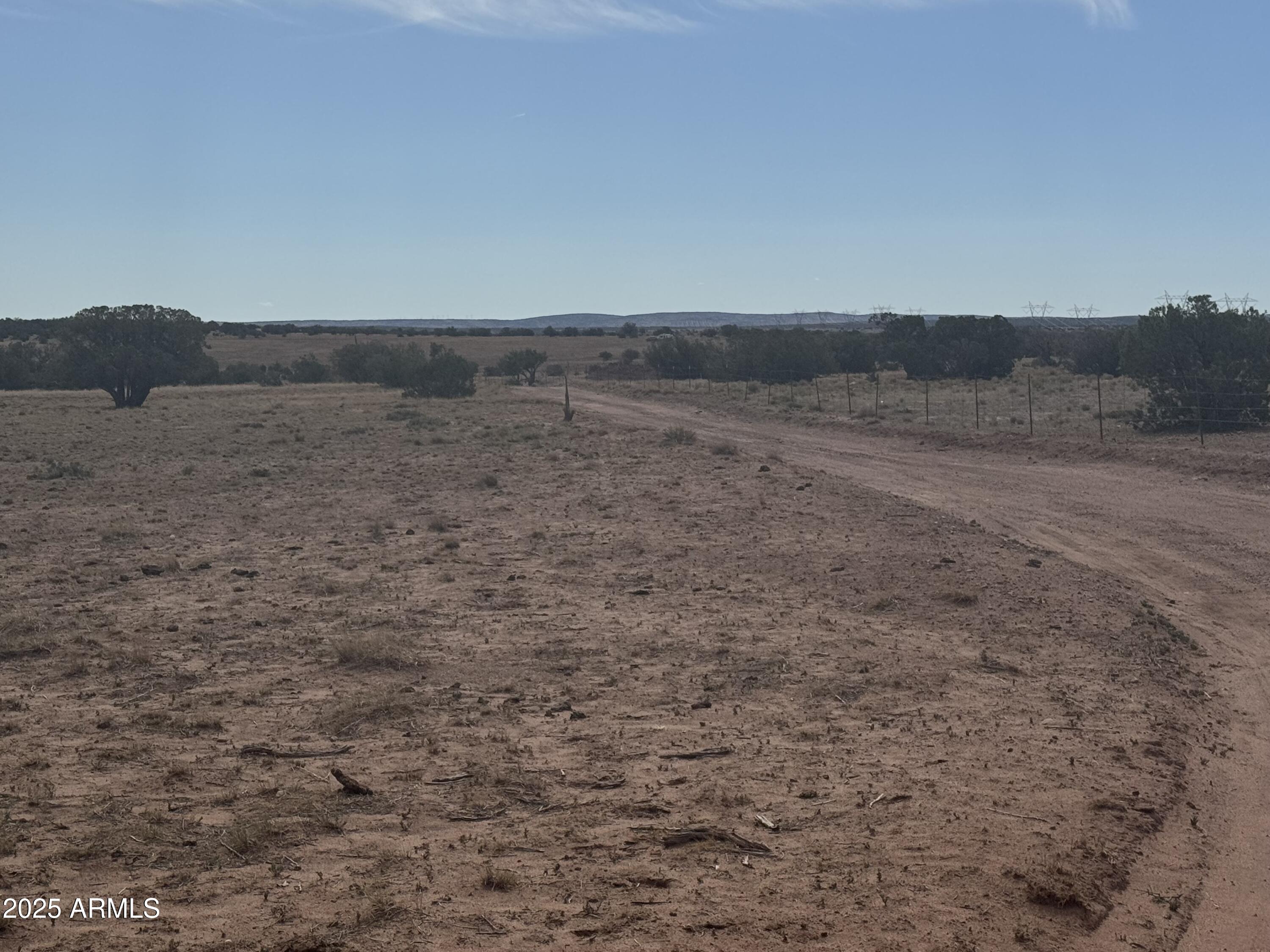 Lot 88 Ranch Of The White Mountains, Unit 88 Concho, AZ 85924 - Photo 13 of 14 IMG_8739