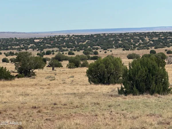 $25,000 | Lot 88 Ranch Of The White Mountains, Unit 88, Concho, AZ 85924