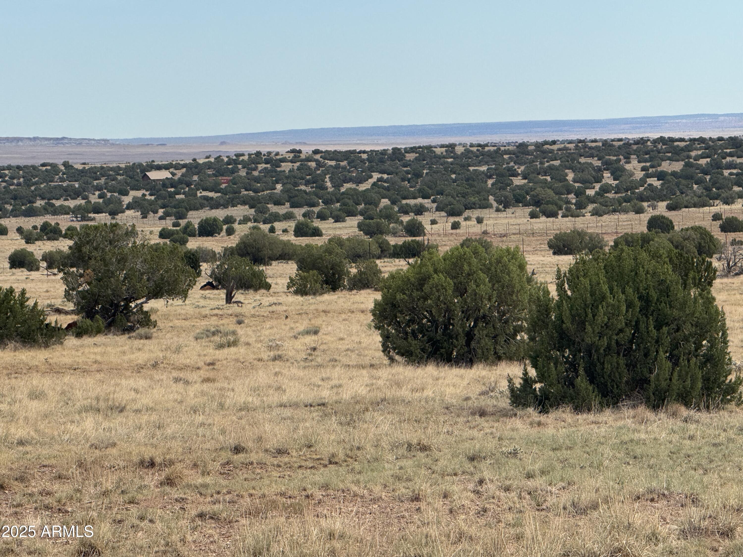 Lot 88 Ranch Of The White Mountains, Unit 88 Concho, AZ 85924 - Photo 14 of 14 IMG_8740