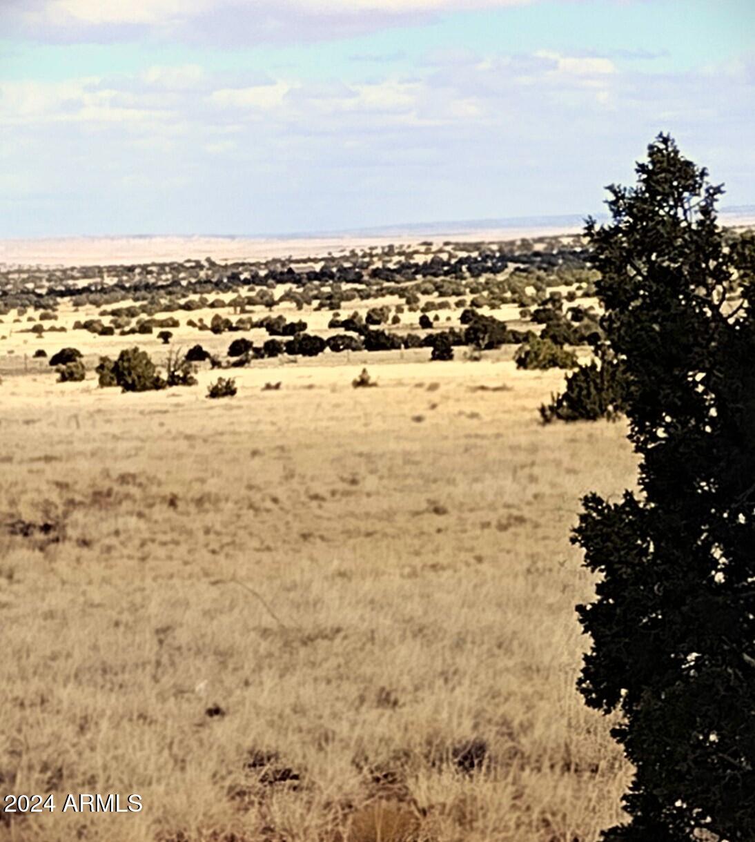 Lot 88 Ranch Of The White Mountains, Unit 88 Concho, AZ 85924 - Photo 2 of 14 Lot.88.5