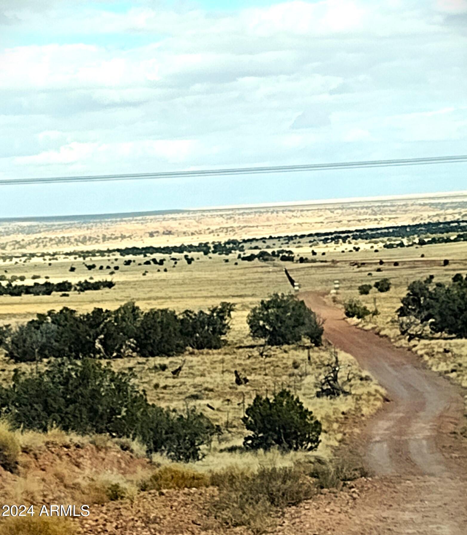 Lot 88 Ranch Of The White Mountains, Unit 88 Concho, AZ 85924 - Photo 3 of 14 Lot.88.6
