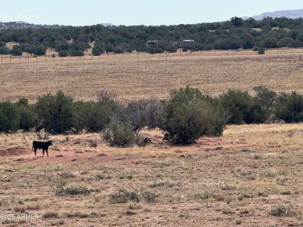 $25,000 | Lot 88 Ranch Of The White Mountains, Unit 88, Concho, AZ 85924