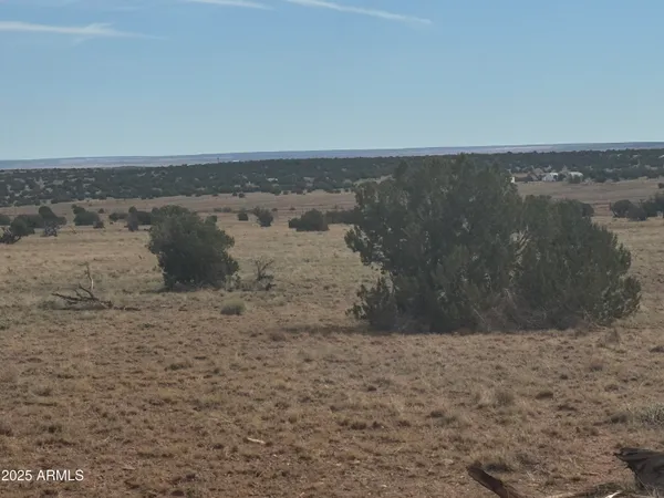 $25,000 | Lot 88 Ranch Of The White Mountains, Unit 88, Concho, AZ 85924