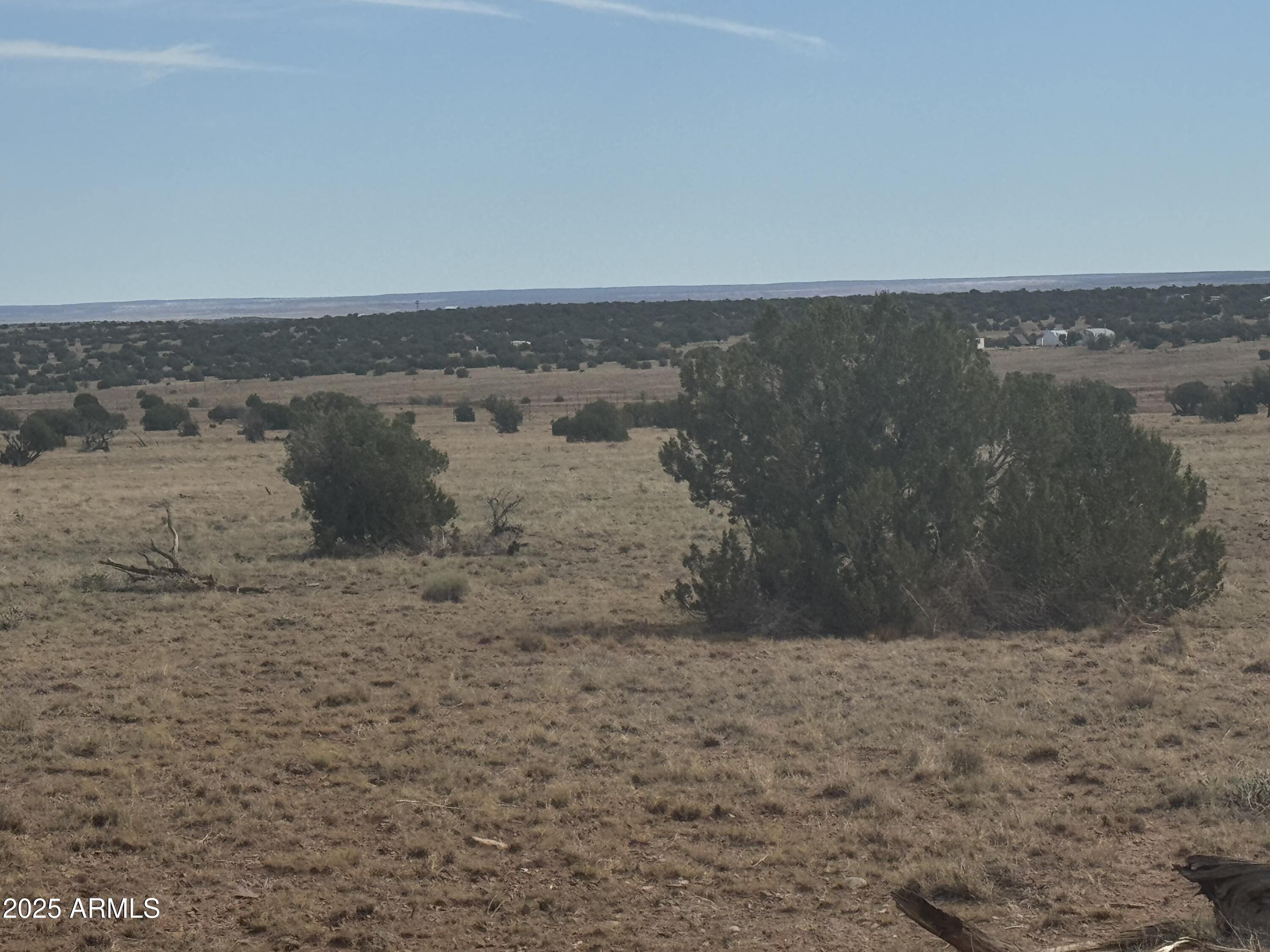 Lot 88 Ranch Of The White Mountains, Unit 88 Concho, AZ 85924 - Photo 10 of 14 IMG_8735
