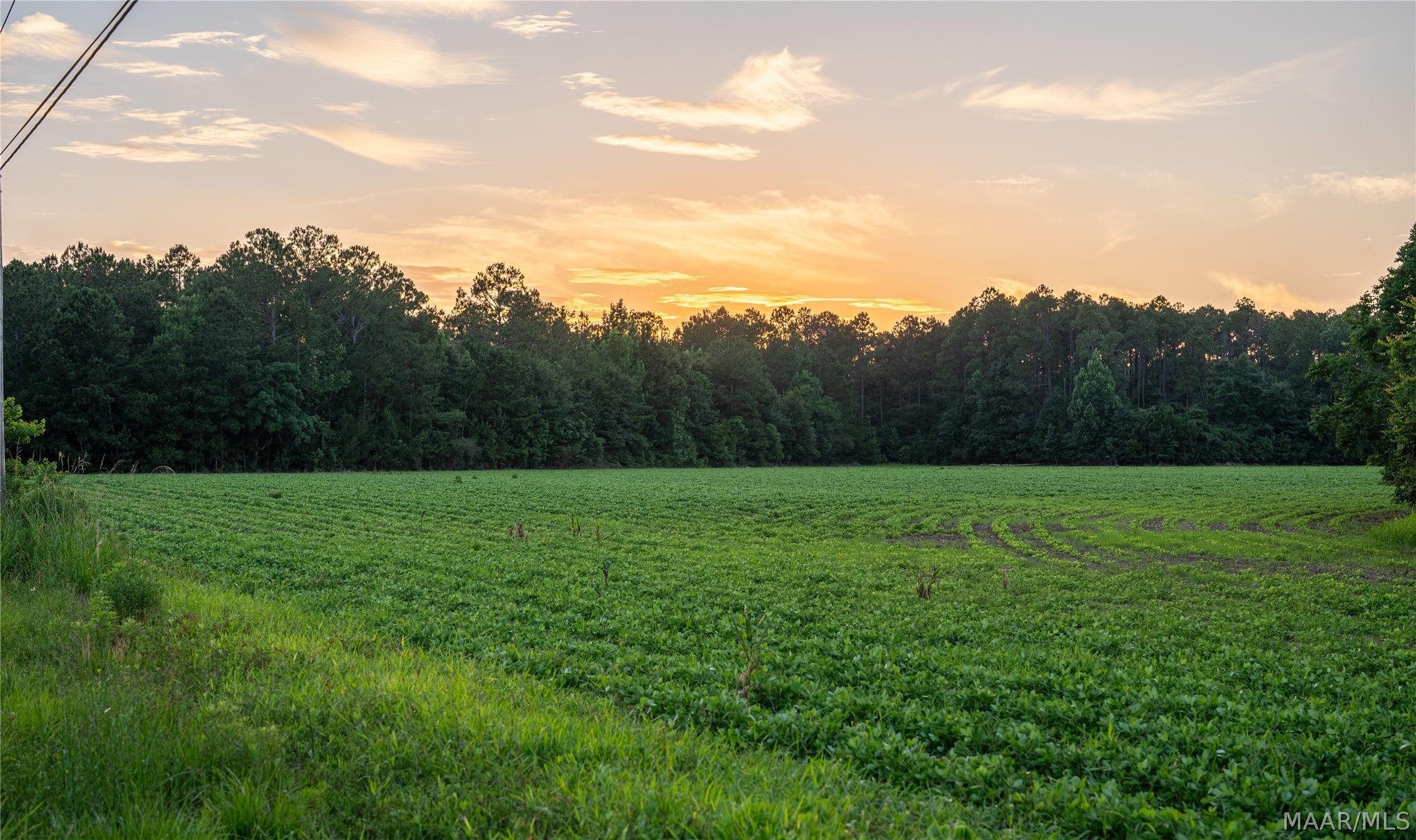 0 Pine Road South Stapleton, AL 36578 - Photo 20 of 53 Gallery Image 20
