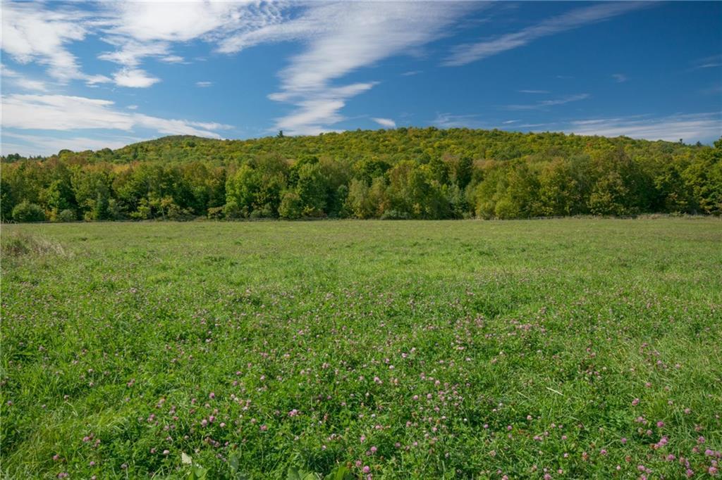 4253 Kennebec Road Dixmont, ME 04932 - Photo 27 of 32 Beautiful fields