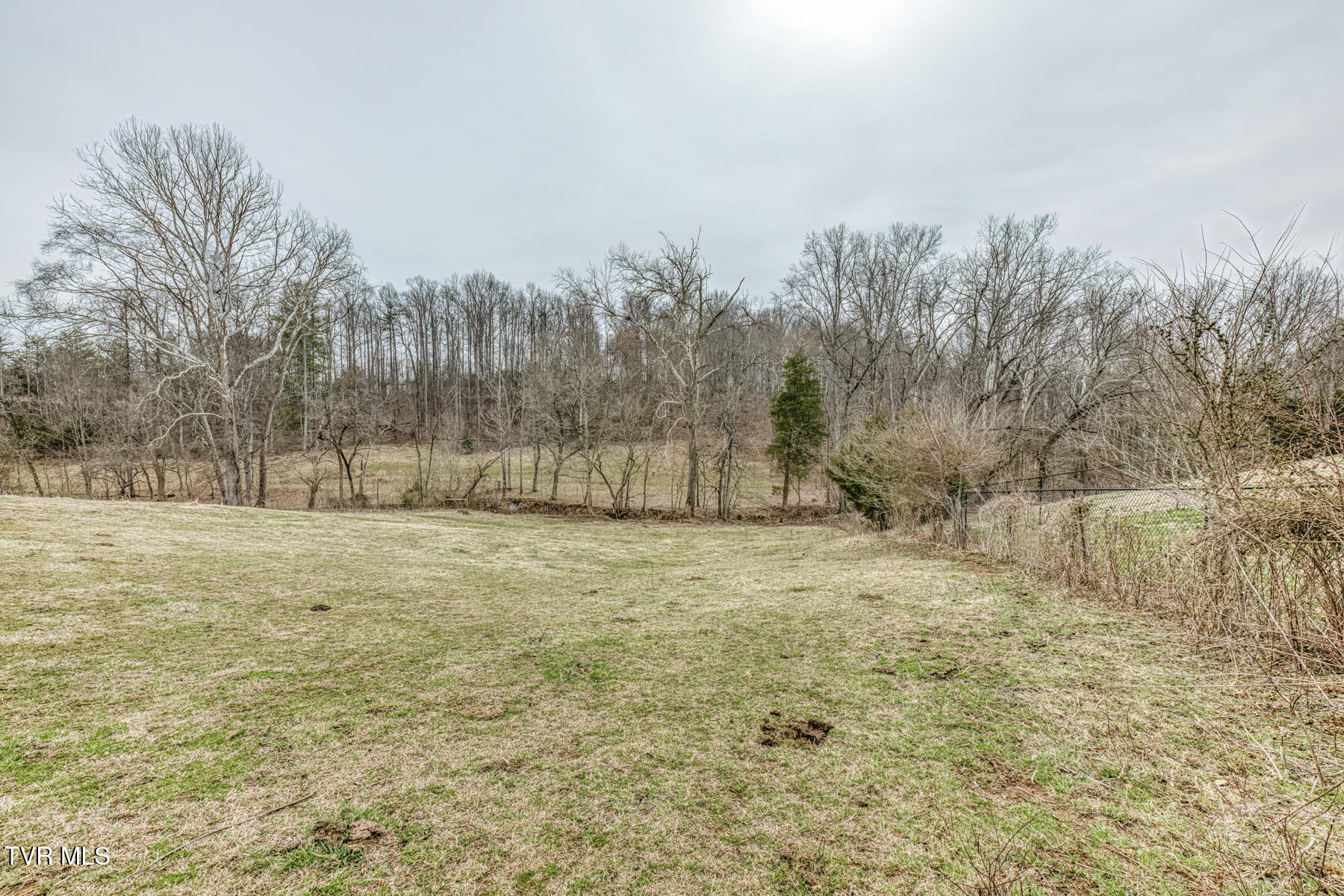 707 Egypt Road Bluff City, TN 37618 - Photo 11 of 15 Egypt Rd land 8