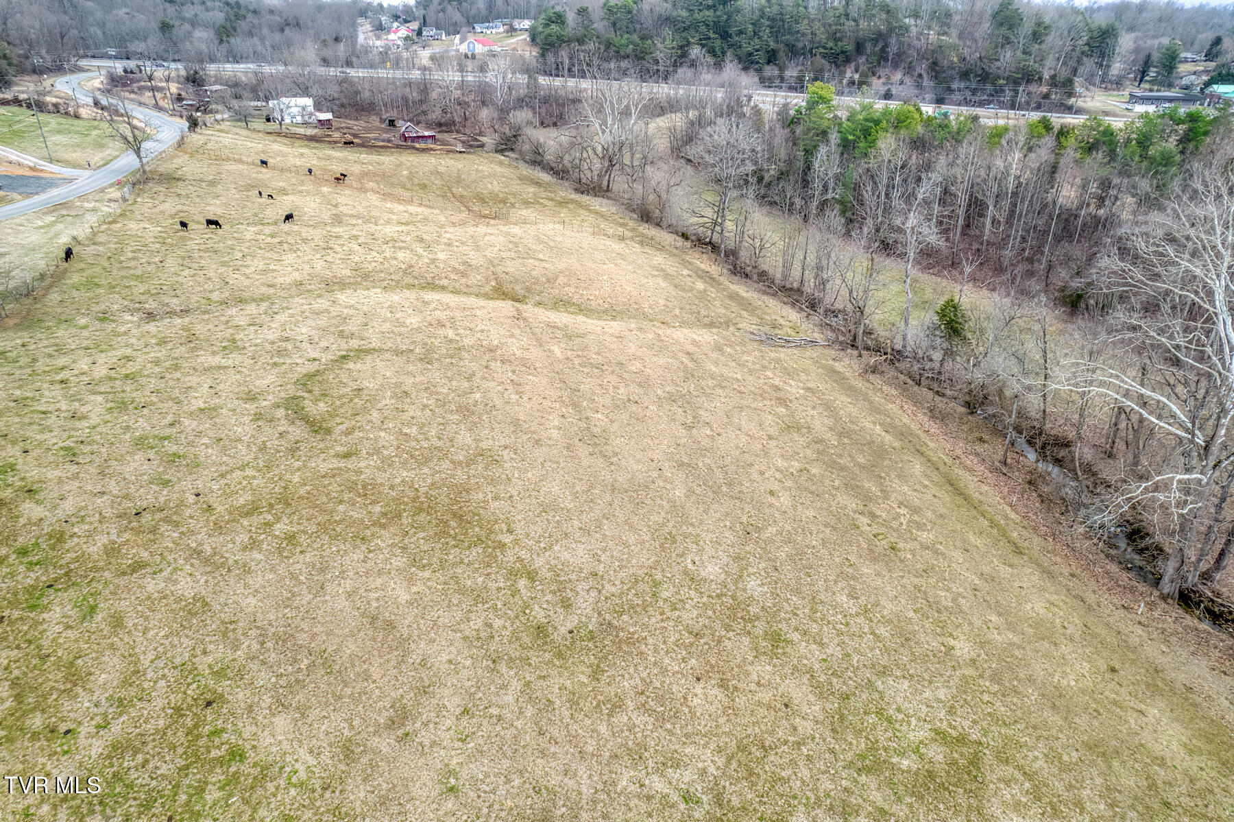 707 Egypt Road Bluff City, TN 37618 - Photo 2 of 15 Egypt Rd land 3