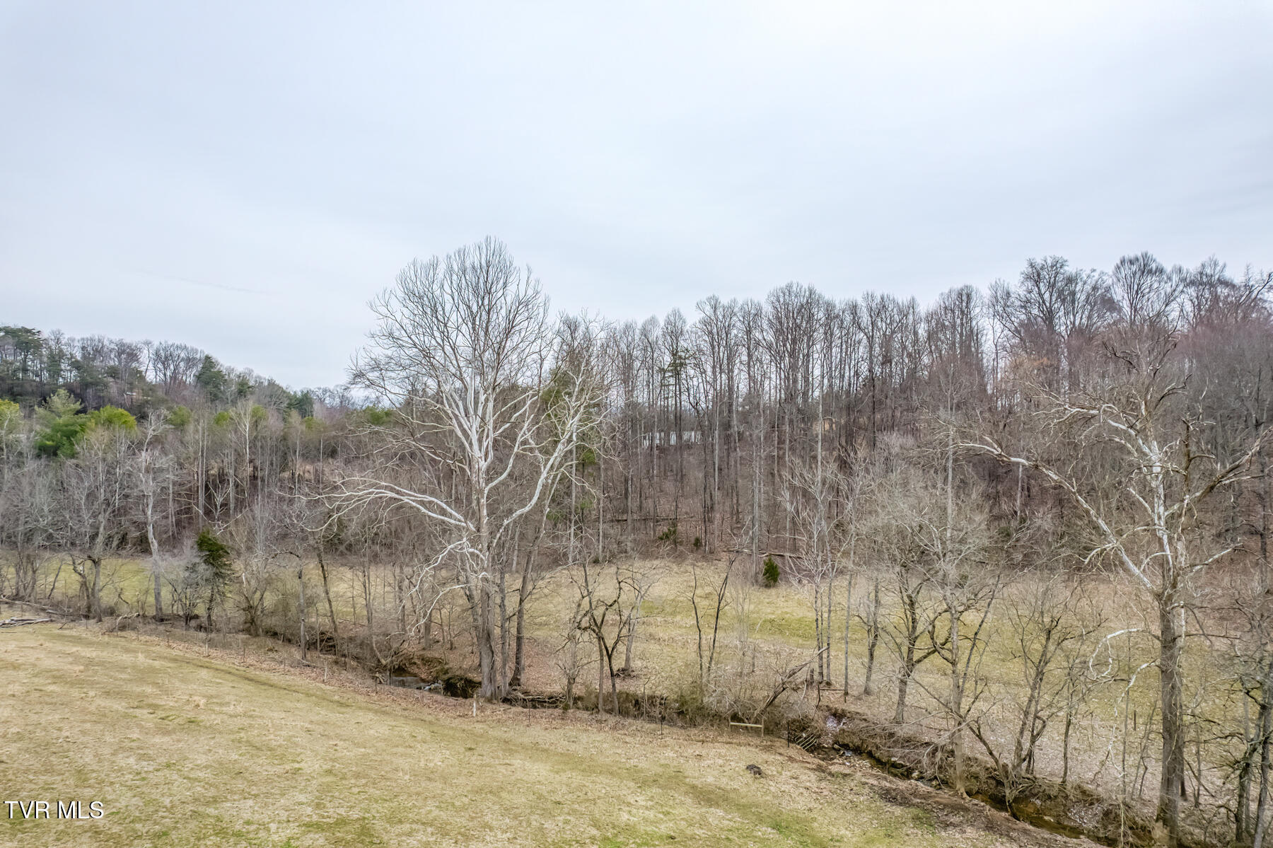 707 Egypt Road Bluff City, TN 37618 - Photo 4 of 15 Egypt Rd Creek