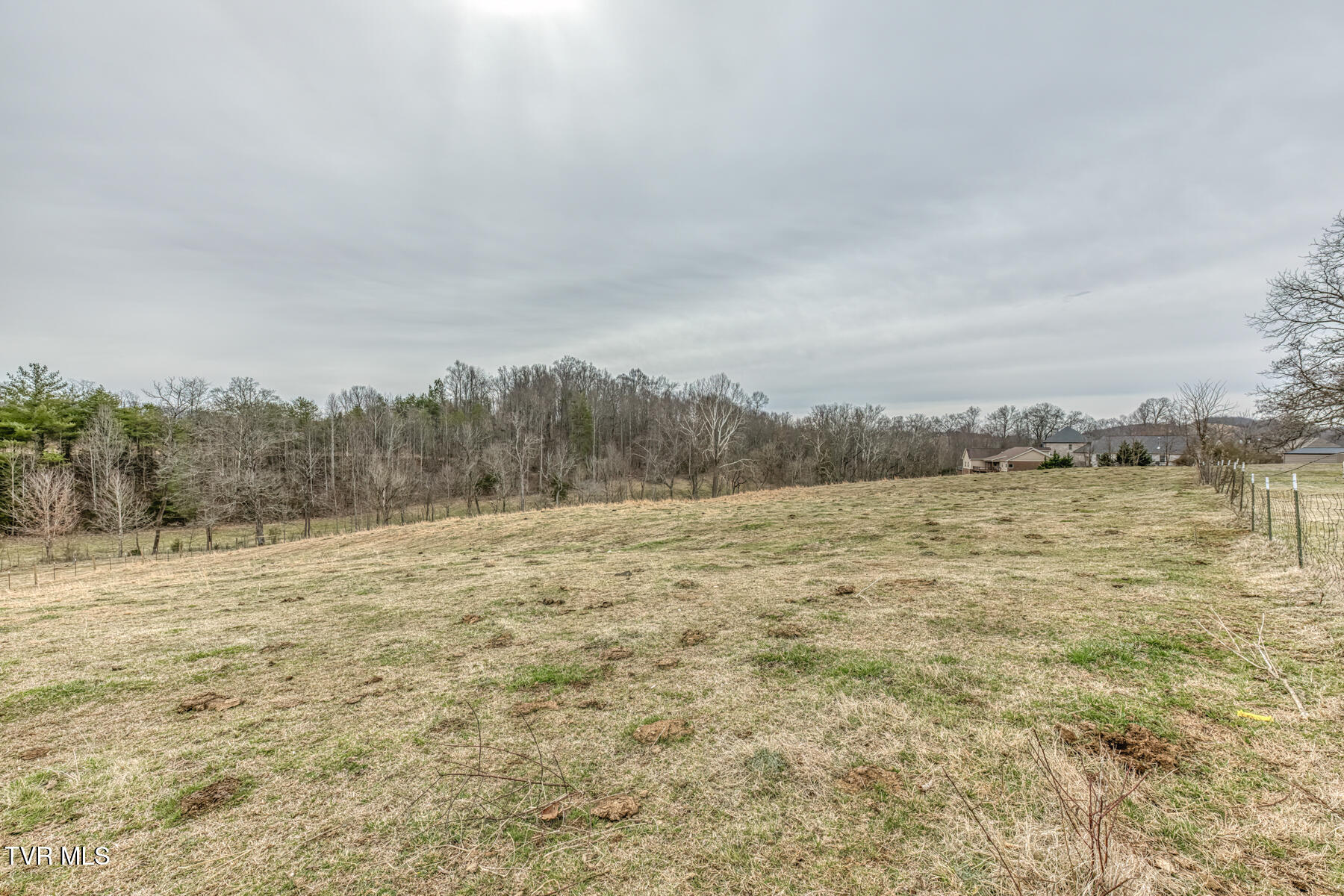 707 Egypt Road Bluff City, TN 37618 - Photo 7 of 15 Egypt Rd land 4