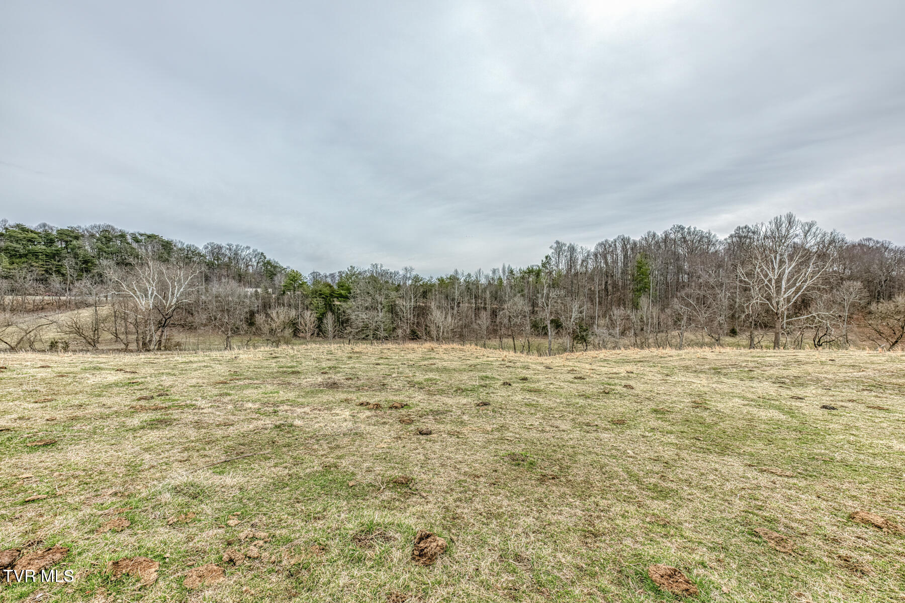 707 Egypt Road Bluff City, TN 37618 - Photo 9 of 15 Egypt Rd land 6