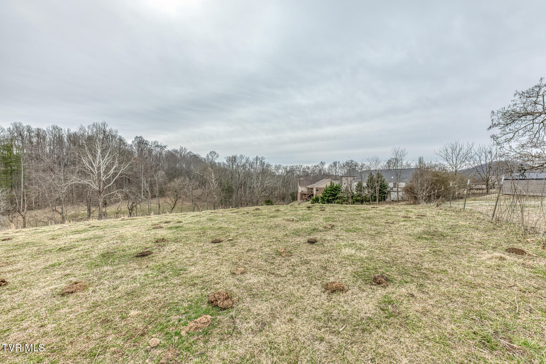 707 Egypt Road Bluff City, TN 37618 - Photo 10 of 15 Egypt Rd land 7