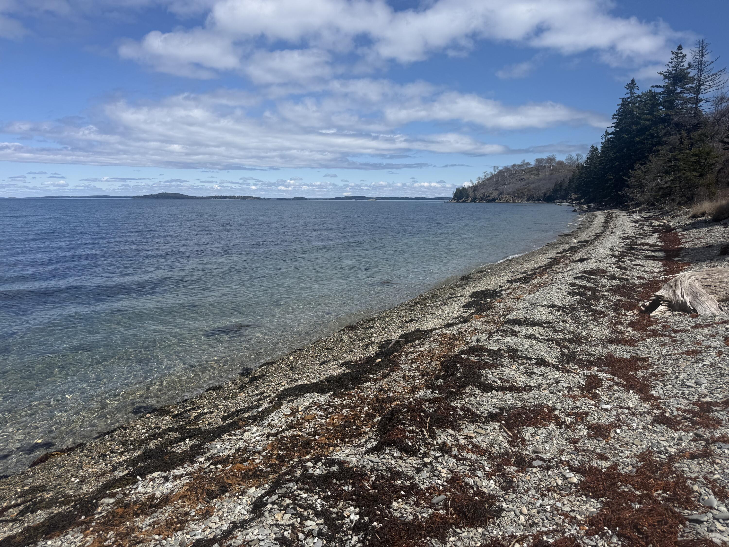 17 North Shore Road North Haven, ME 04853 - Photo 2 of 6 IMG_6926