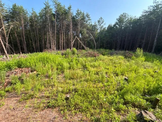 $91,900 | 0 Felix Road, Nathalie, VA 24577