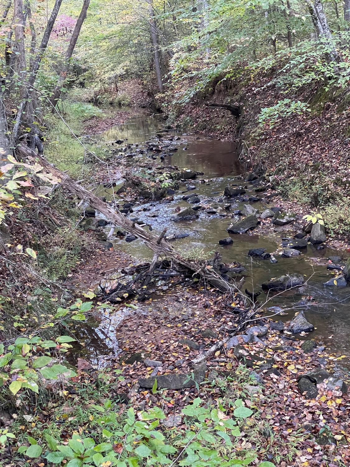 0 Felix Road Nathalie, VA 24577 - Photo 2 of 10