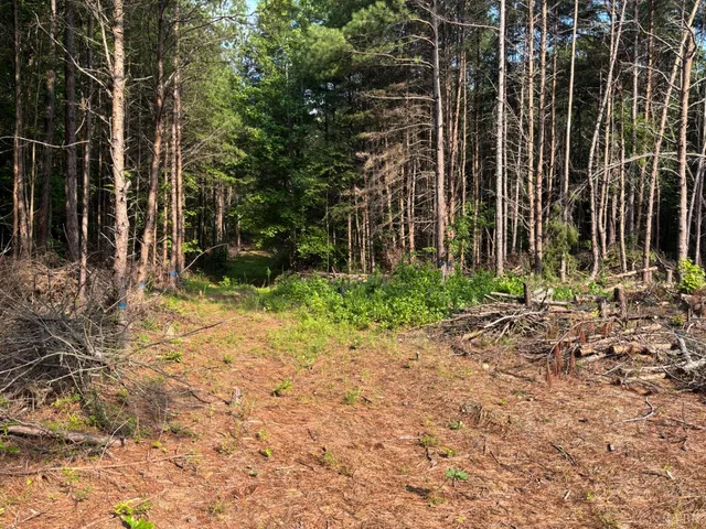 $91,900 | 0 Felix Road, Nathalie, VA 24577