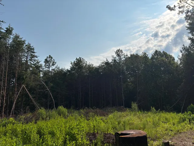 $91,900 | 0 Felix Road, Nathalie, VA 24577