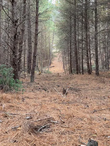 $91,900 | 0 Felix Road, Nathalie, VA 24577