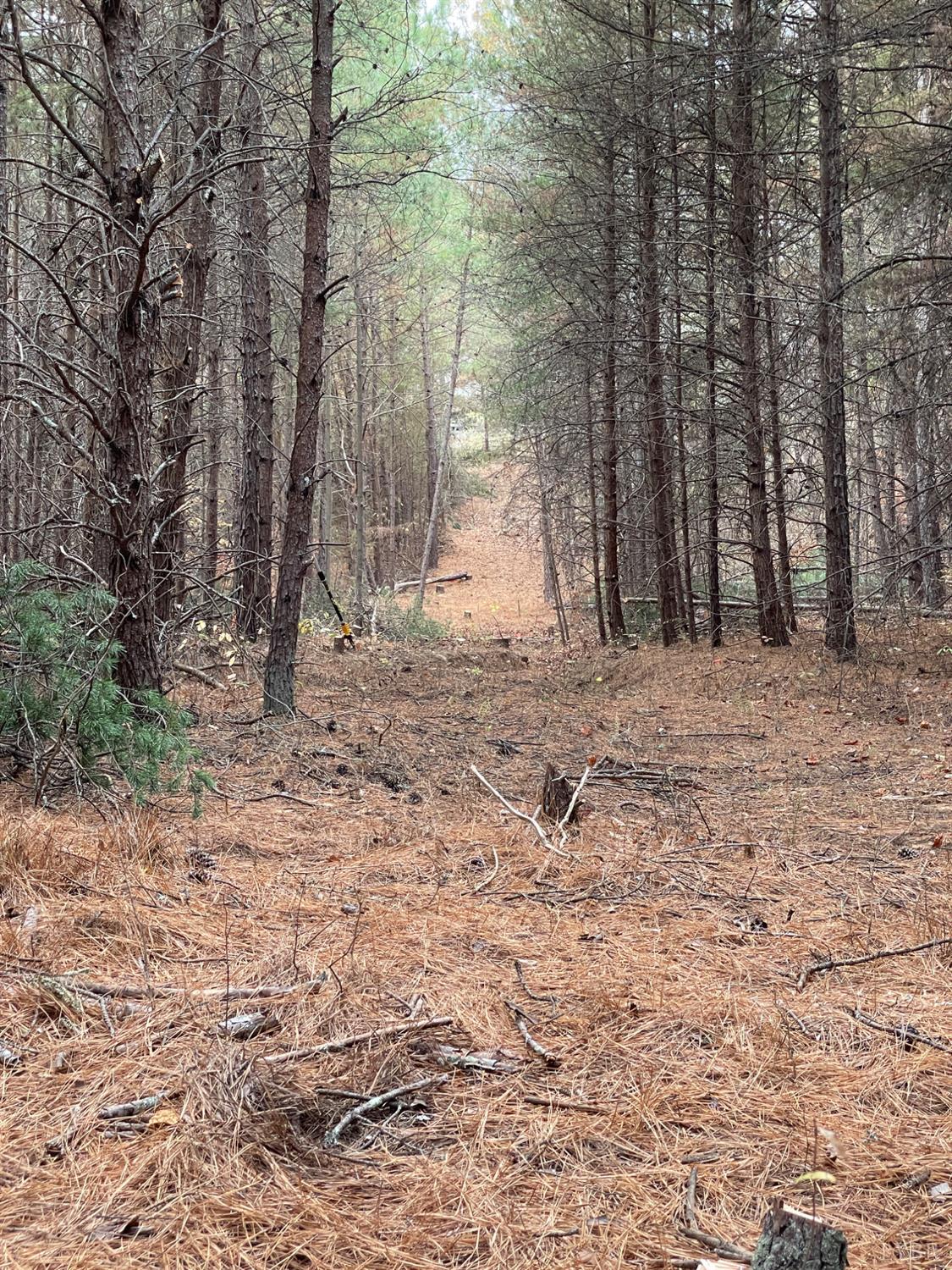 0 Felix Road Nathalie, VA 24577 - Photo 7 of 10