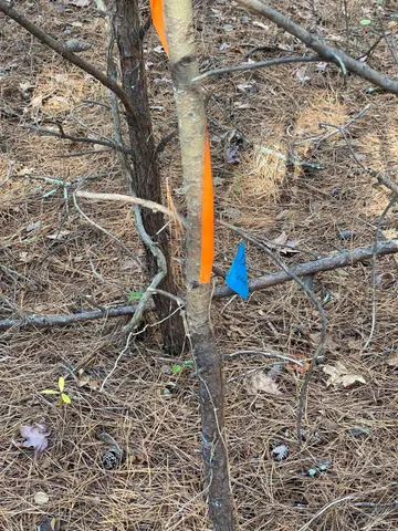 $91,900 | 0 Felix Road, Nathalie, VA 24577