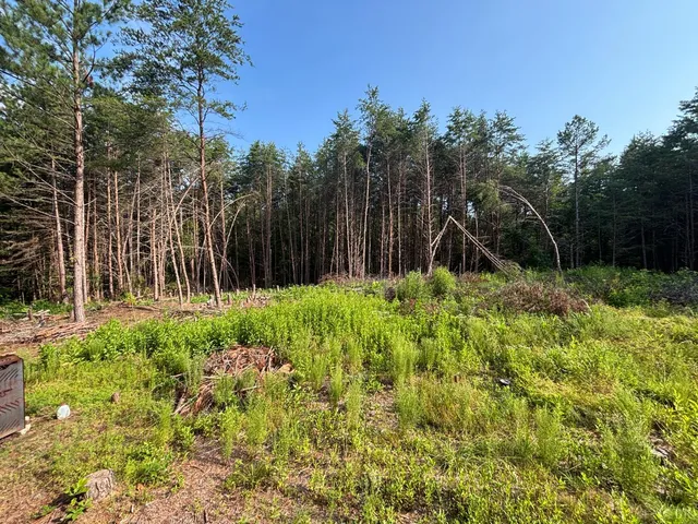 $91,900 | 0 Felix Road, Nathalie, VA 24577