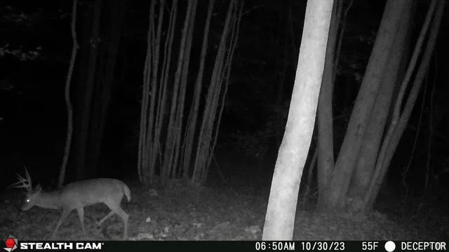 $91,900 | 0 Felix Road, Nathalie, VA 24577