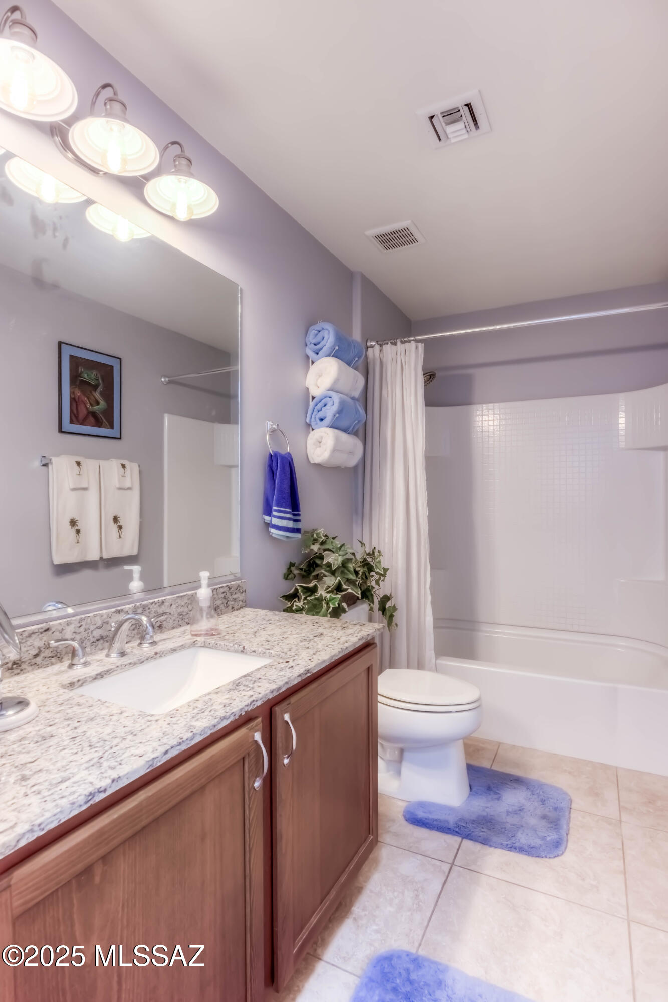 178 East Sycamore View Road Vail, AZ 85641 - Photo 11 of 32 Gallery Image 11