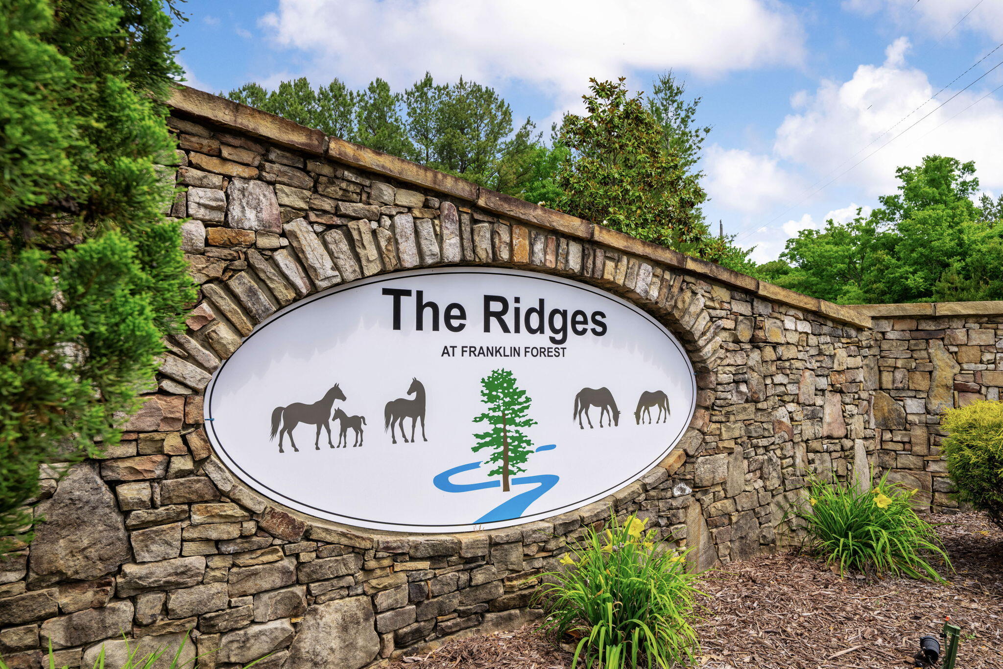 655 Thunder Ridge South Pittsburg, TN 37380 - Photo 98 of 108 119-web-or-mls-DSC_2972-91