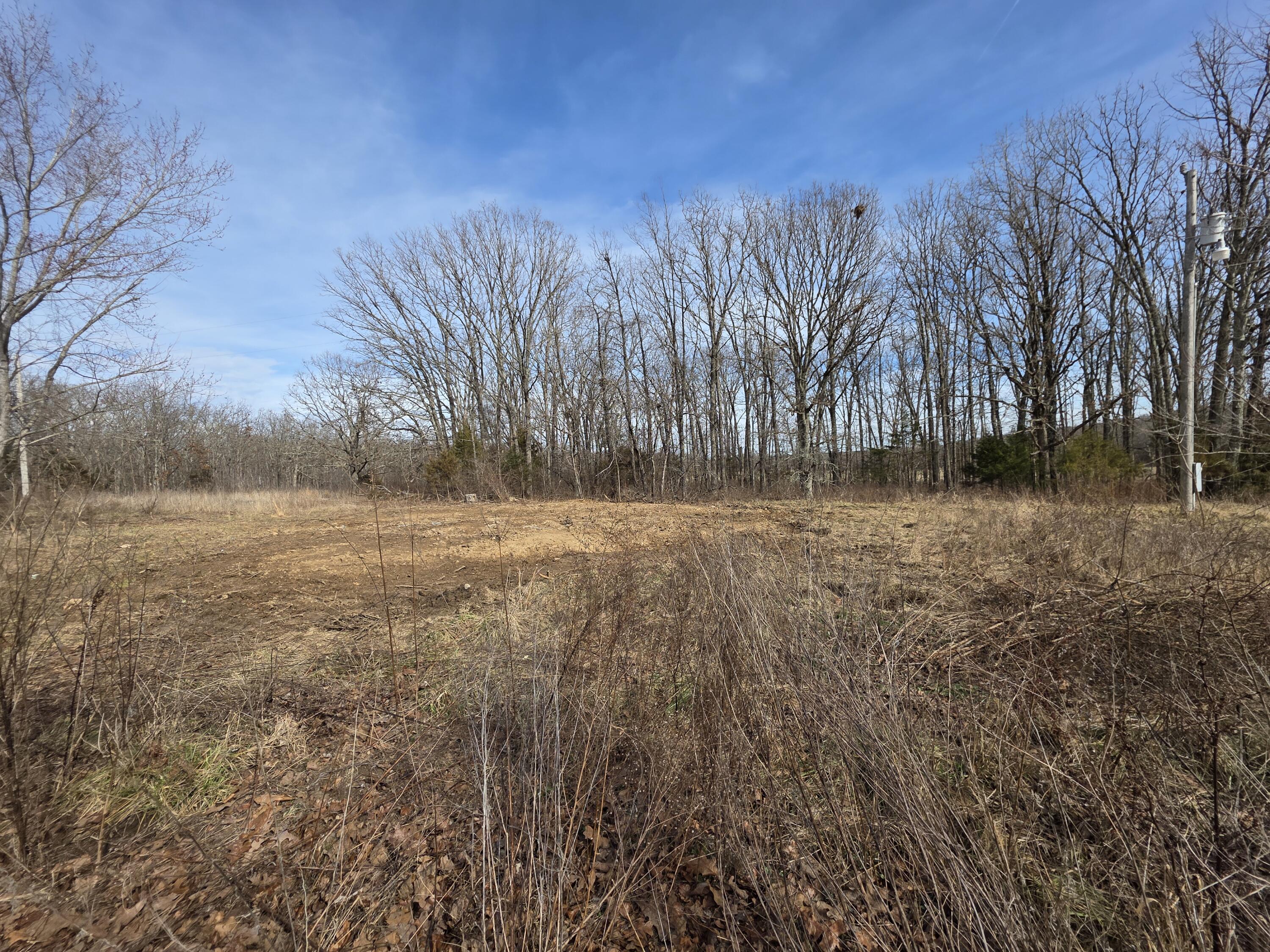 10550 Mill Road Bucyrus, MO 65444 - Photo 33 of 36 2920