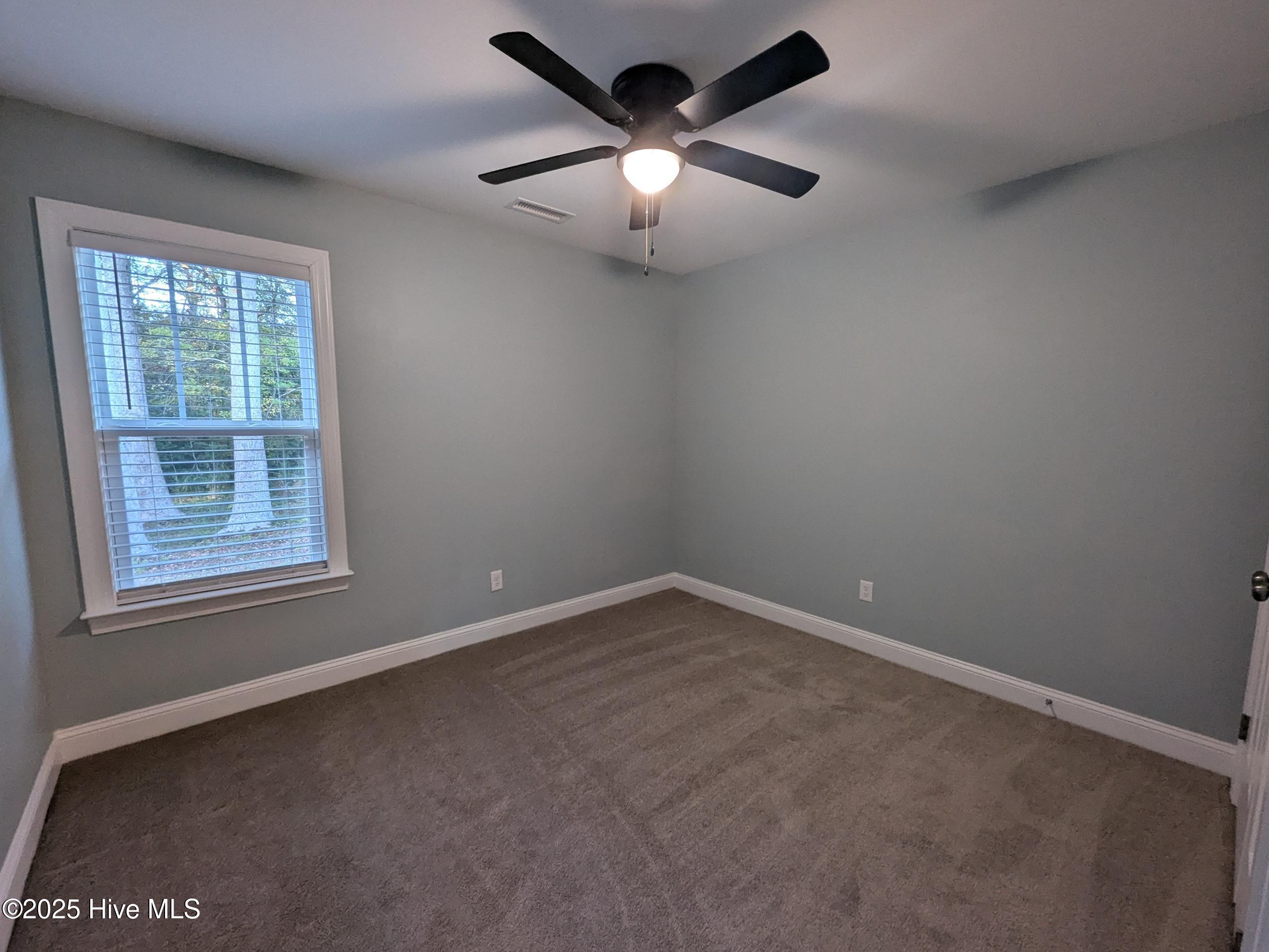 184 Montague Road Currie, NC 28435 - Photo 14 of 18 Media (14)