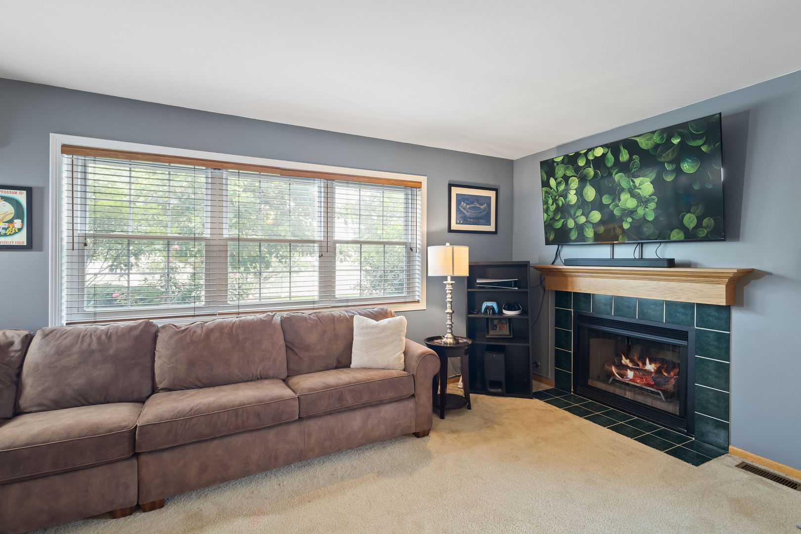 9702 Chelsea Place Mokena, IL 60448 - Photo 15 of 20 a living room with furniture a window and a fireplace