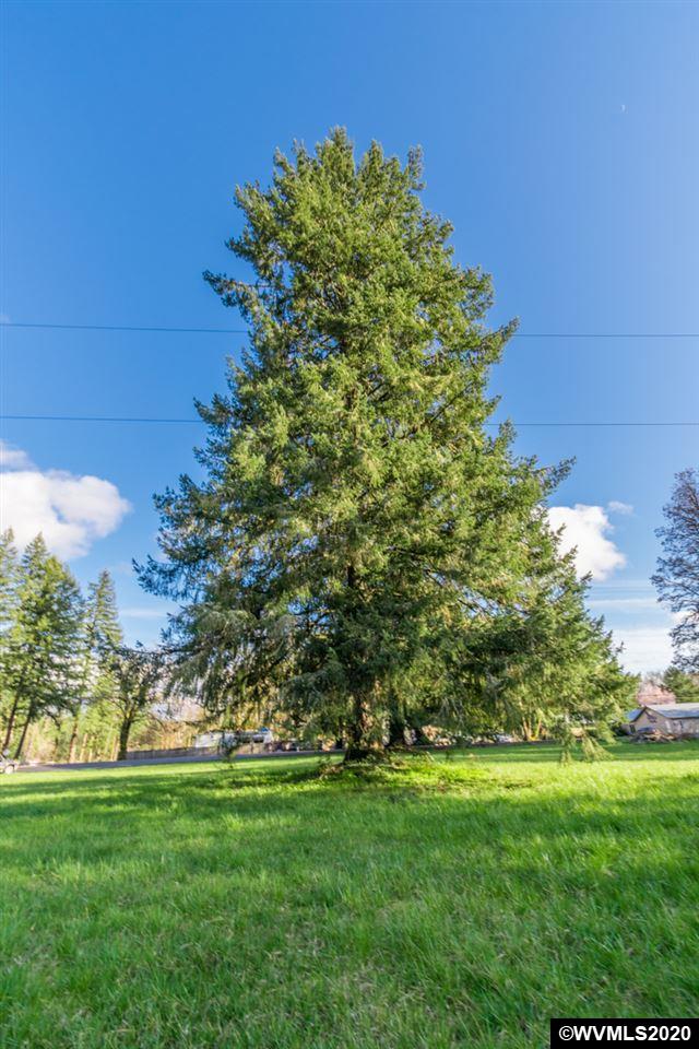 Waterloo (tl 1400) Road Lebanon, OR 97355 - Photo 9 of 30 Gallery Image 9