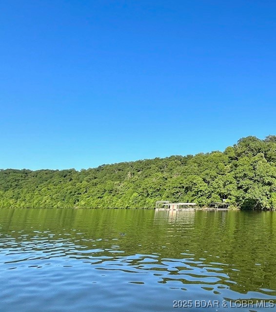 7 Timber Ridge, Unit GRAVOIS ARM) Barnett, MO 65011 - Photo 1 of 6 Big cove! Gravois Arm