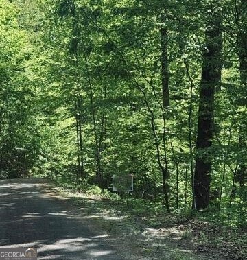 409-411 Barefoot Road Hiawassee, GA 30546 - Photo 1 of 11 a view of a trees