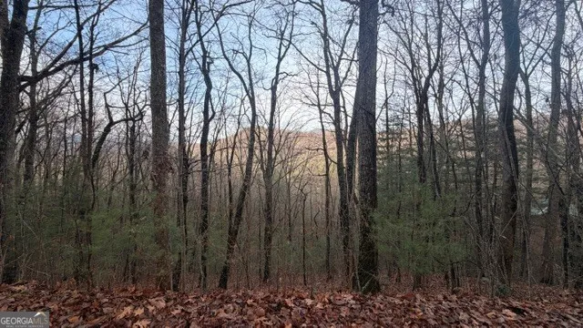 $39,900 | 409-411 Barefoot Road, Hiawassee, GA 30546