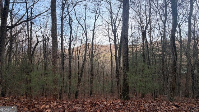 409-411 Barefoot Road Hiawassee, GA 30546 - Photo 11 of 11