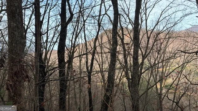 a backyard of a house with lots of trees