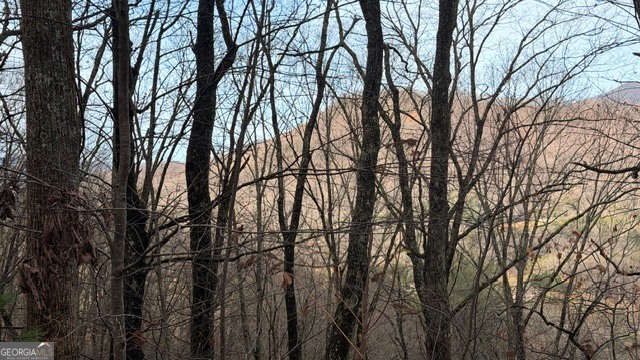 409-411 Barefoot Road Hiawassee, GA 30546 - Photo 2 of 11 a backyard of a house with lots of trees