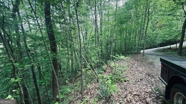 a view of outdoor space and garden