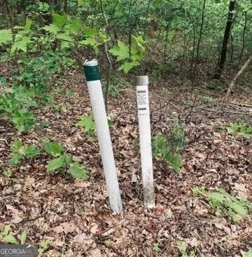 a view of an outdoor space