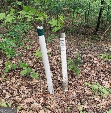 409-411 Barefoot Road Hiawassee, GA 30546 - Photo 7 of 11 a view of an outdoor space