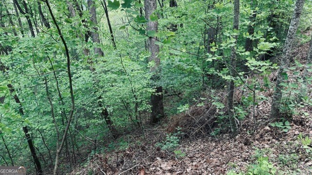 409-411 Barefoot Road Hiawassee, GA 30546 - Photo 8 of 11 a view of a lush green forest