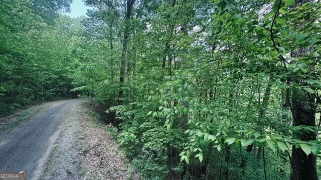 a view of a yard with a tree